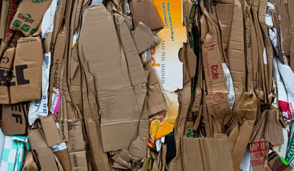 Как правильно утилизировать отходы